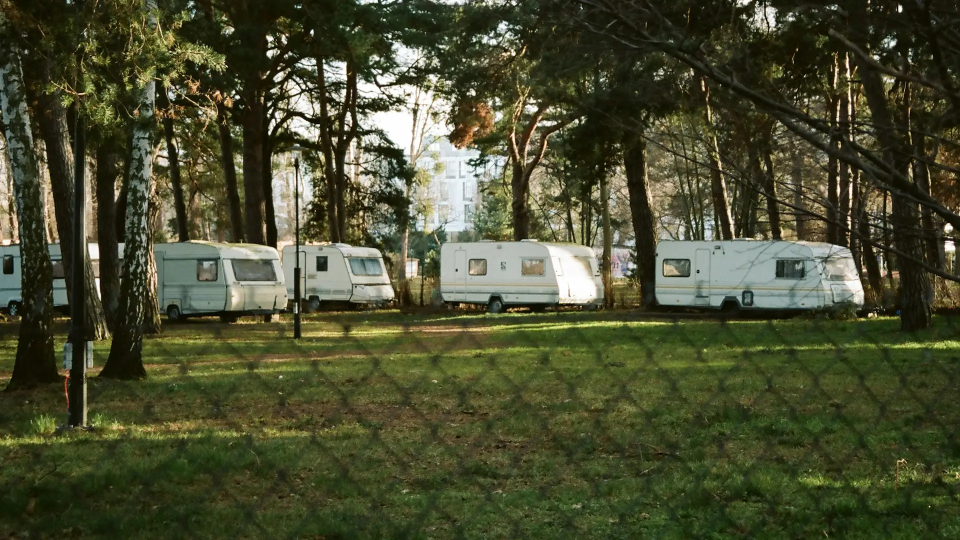 RV trailers in a tree-lined park